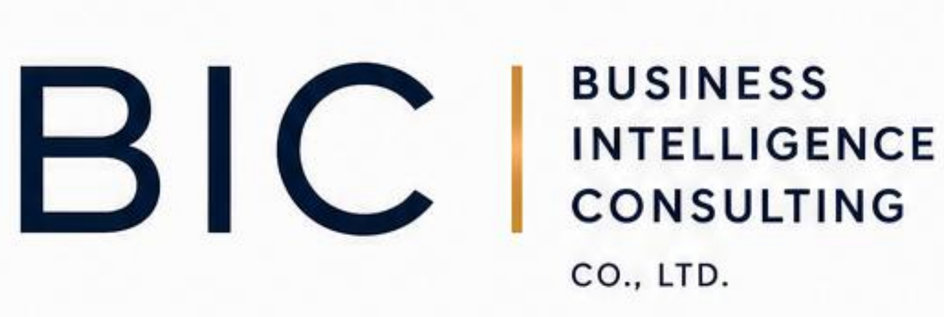 Business Intelligence Consulting Co., Ltd.